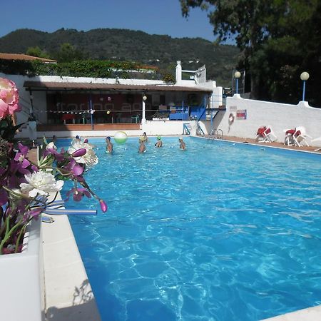 Hotel Torino Falerna Dış mekan fotoğraf